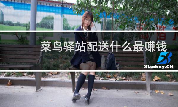 菜鸟驿站配送什么最赚钱