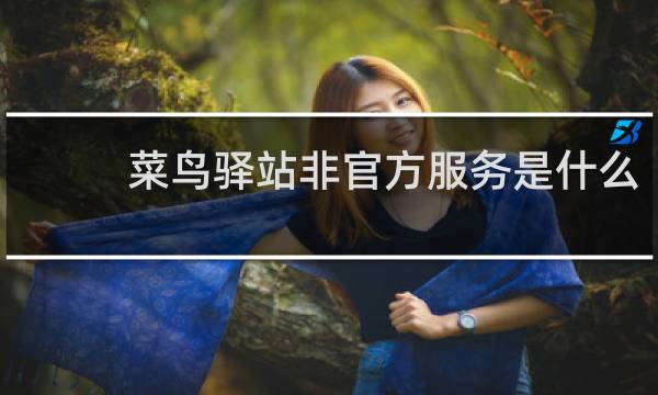 菜鸟驿站非官方服务是什么