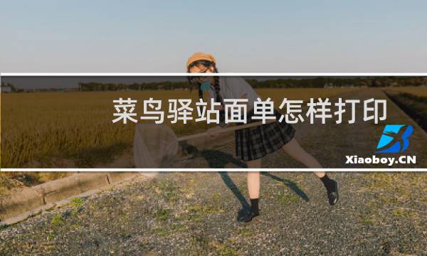 菜鸟驿站面单怎样打印