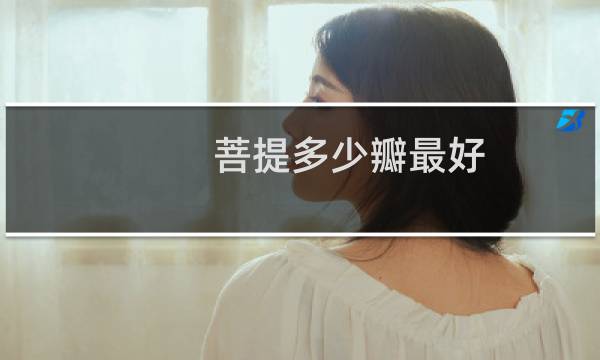 菩提多少瓣最好