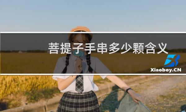 菩提子手串多少颗含义