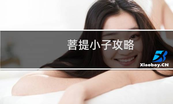 菩提小子攻略