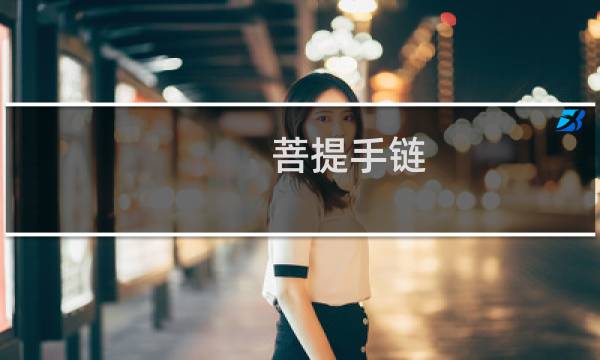 菩提手链 价格