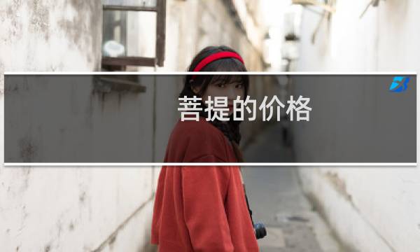 菩提的价格