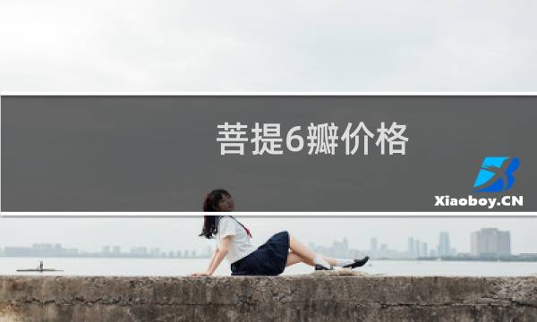 菩提6瓣价格
