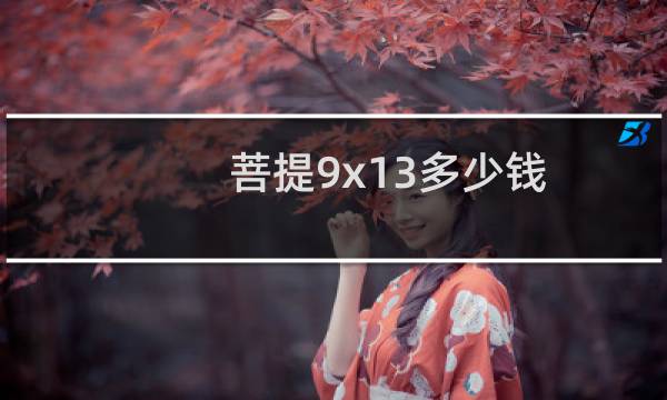 菩提9x13多少钱