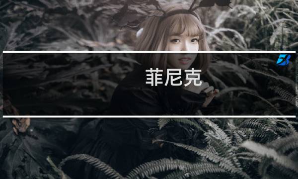 菲尼克 攻略