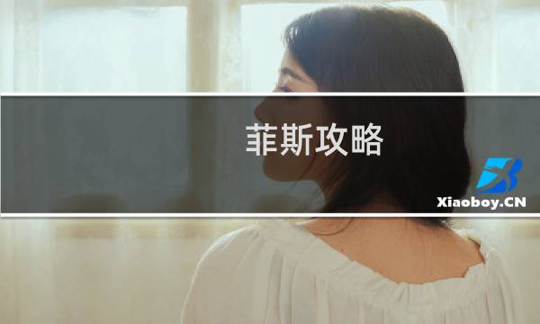 菲斯攻略