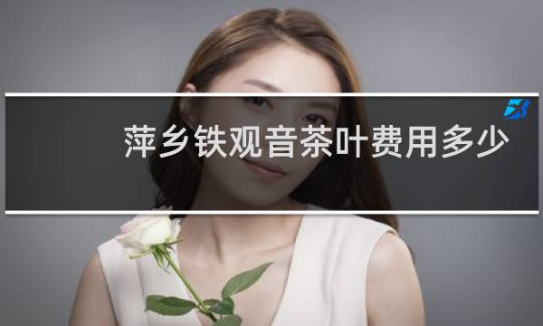 萍乡铁观音茶叶费用多少