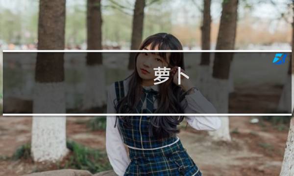 萝卜 视频攻略