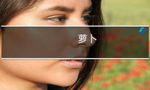 萝卜 boss攻略
