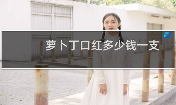 萝卜丁口红多少钱一支
