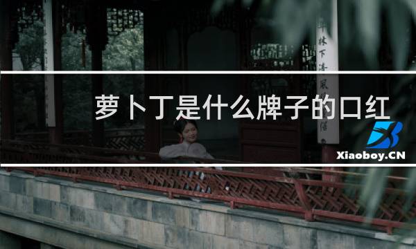 萝卜丁是什么牌子的口红