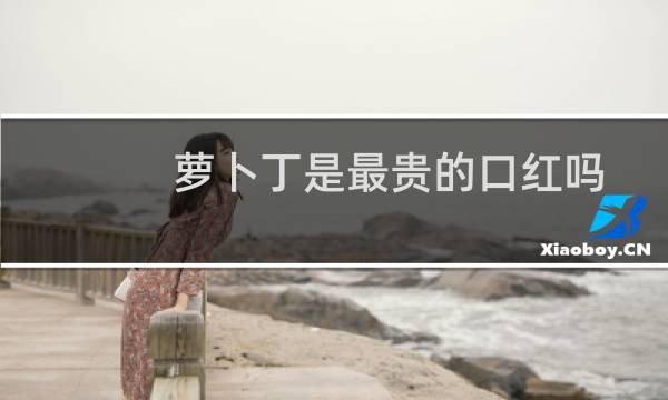 萝卜丁是最贵的口红吗
