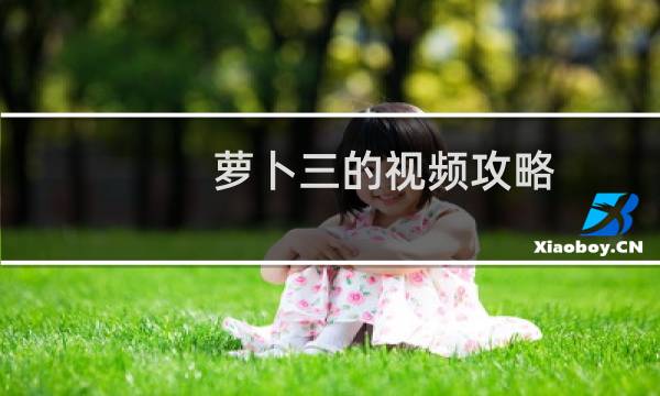 萝卜三的视频攻略
