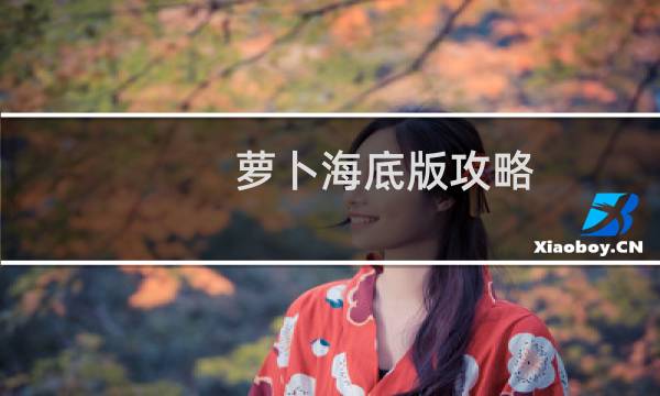 萝卜海底版攻略
