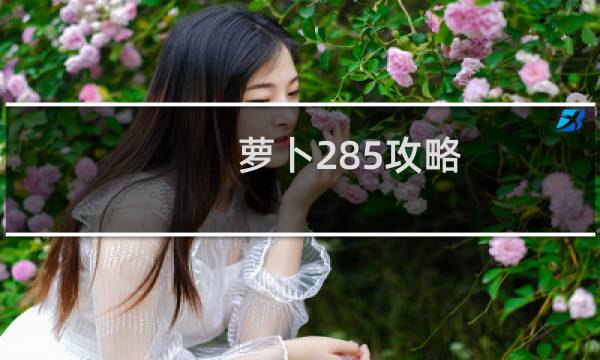 萝卜285攻略