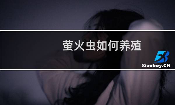 萤火虫如何养殖