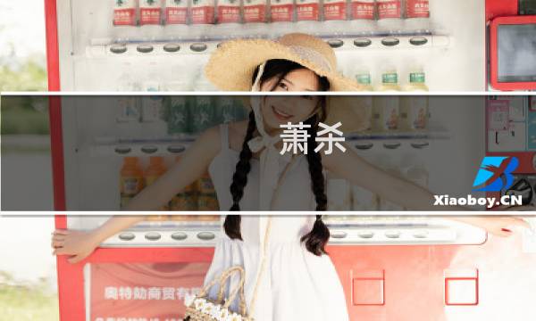 萧杀 攻略