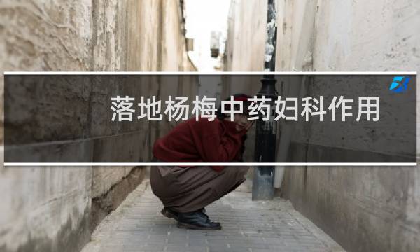 落地杨梅中药妇科作用