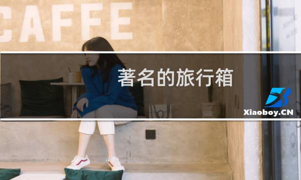 著名的旅行箱