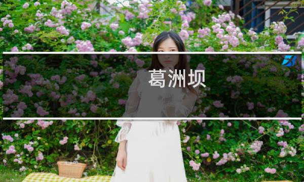 葛洲坝 三峡大坝