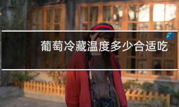 葡萄冷藏温度多少合适吃