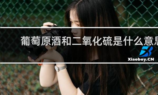 葡萄原酒和二氧化硫是什么意思