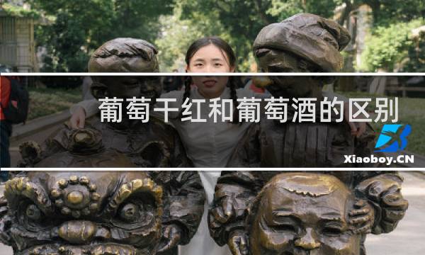 葡萄干红和葡萄酒的区别