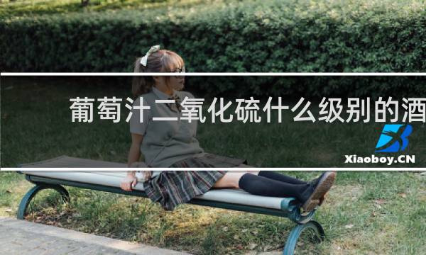 葡萄汁二氧化硫什么级别的酒