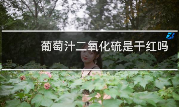 葡萄汁二氧化硫是干红吗