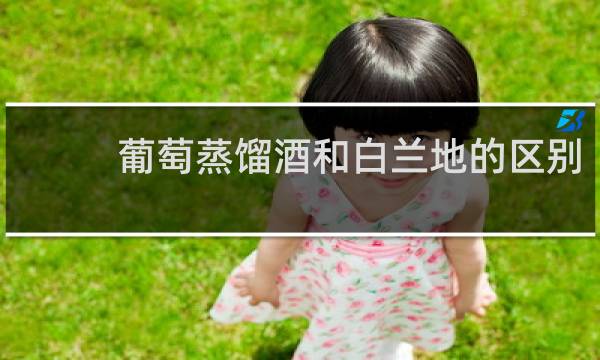葡萄蒸馏酒和白兰地的区别