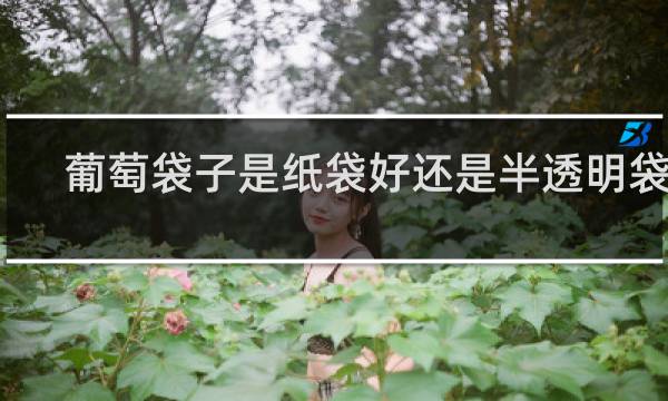 葡萄袋子是纸袋好还是半透明袋好