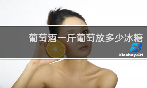 葡萄酒一斤葡萄放多少冰糖