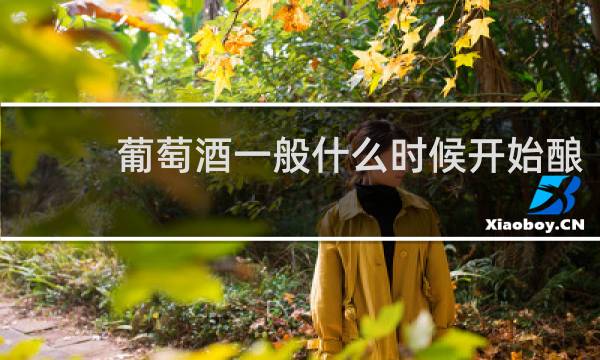 葡萄酒一般什么时候开始酿