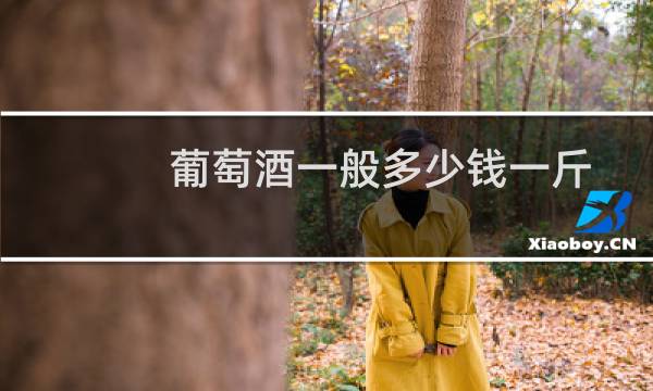 葡萄酒一般多少钱一斤