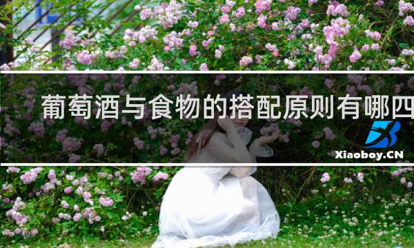 葡萄酒与食物的搭配原则有哪四种?
