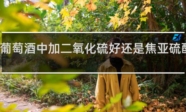 葡萄酒中加二氧化硫好还是焦亚硫酸钾好