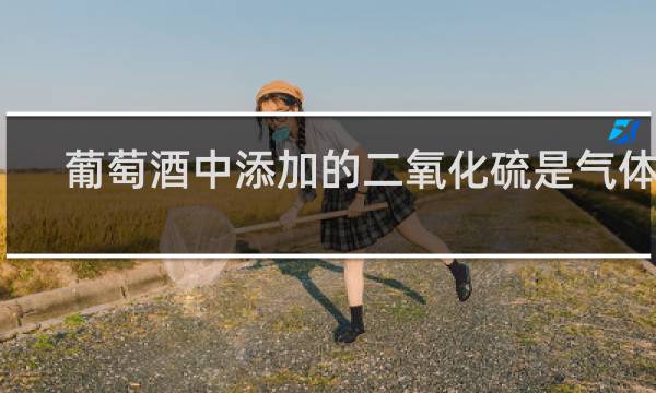 葡萄酒中添加的二氧化硫是气体吗