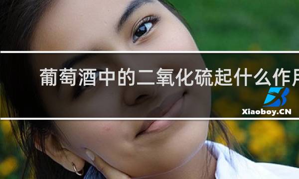 葡萄酒中的二氧化硫起什么作用