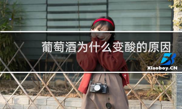 葡萄酒为什么变酸的原因