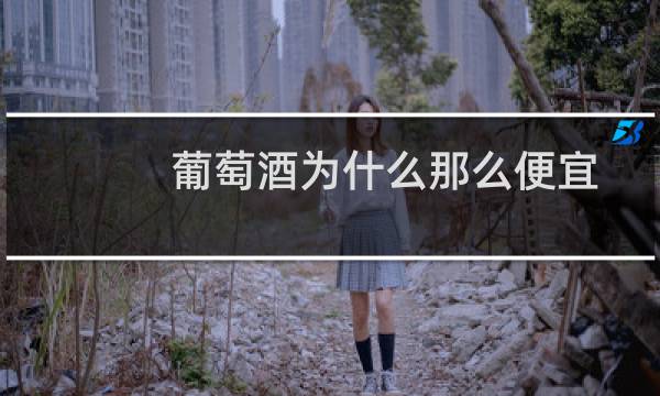 葡萄酒为什么那么便宜
