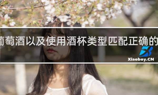 葡萄酒以及使用酒杯类型匹配正确的选项是