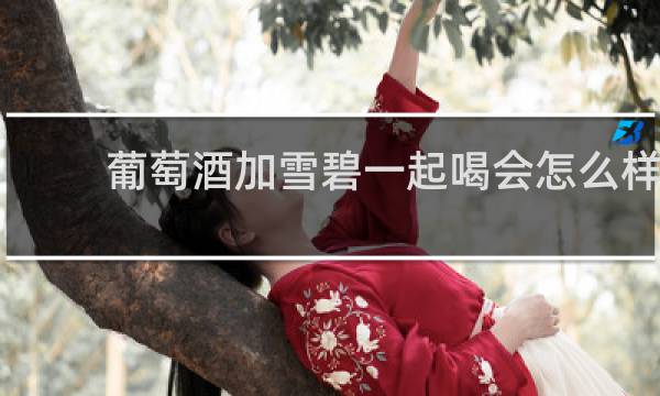 葡萄酒加雪碧一起喝会怎么样