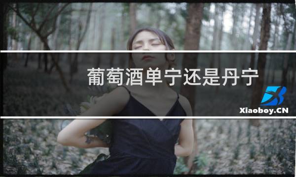 葡萄酒单宁还是丹宁