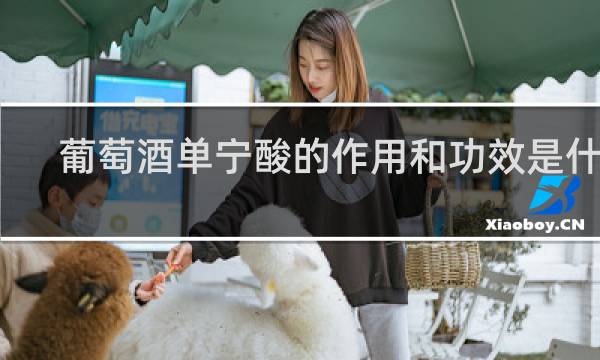 葡萄酒单宁酸的作用和功效是什么