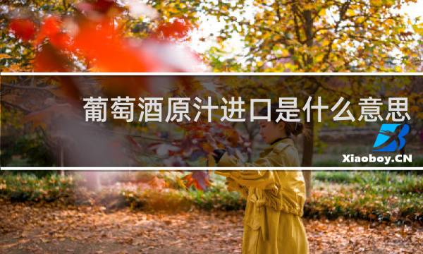 葡萄酒原汁进口是什么意思