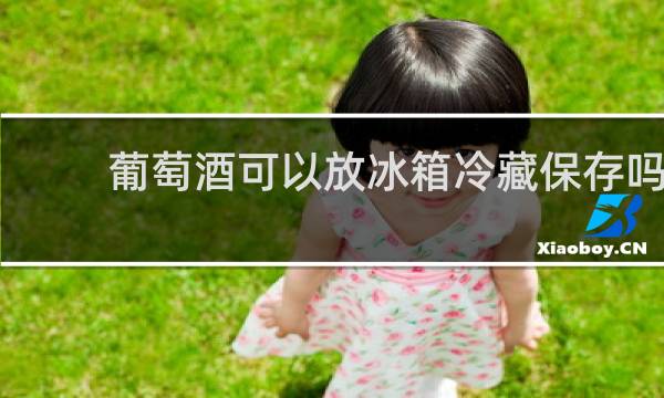 葡萄酒可以放冰箱冷藏保存吗