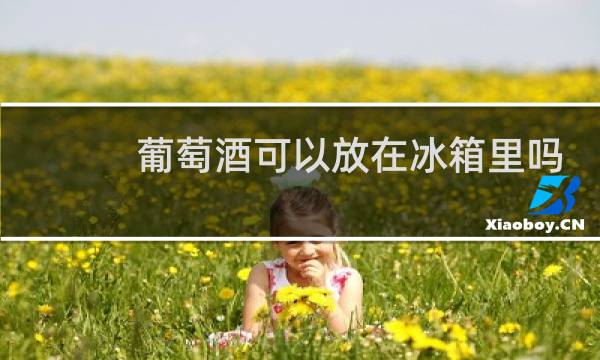 葡萄酒可以放在冰箱里吗