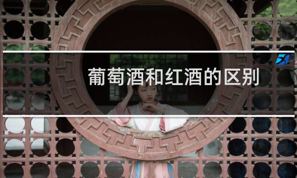 葡萄酒和红酒的区别 哪个贵